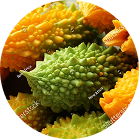 Gorzki melon
