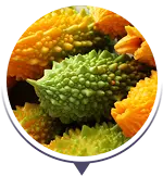 Gorzki melon