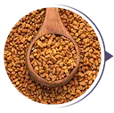 Kozieradka