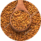 Kozieradka