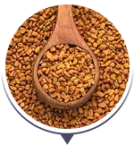 Kozieradka